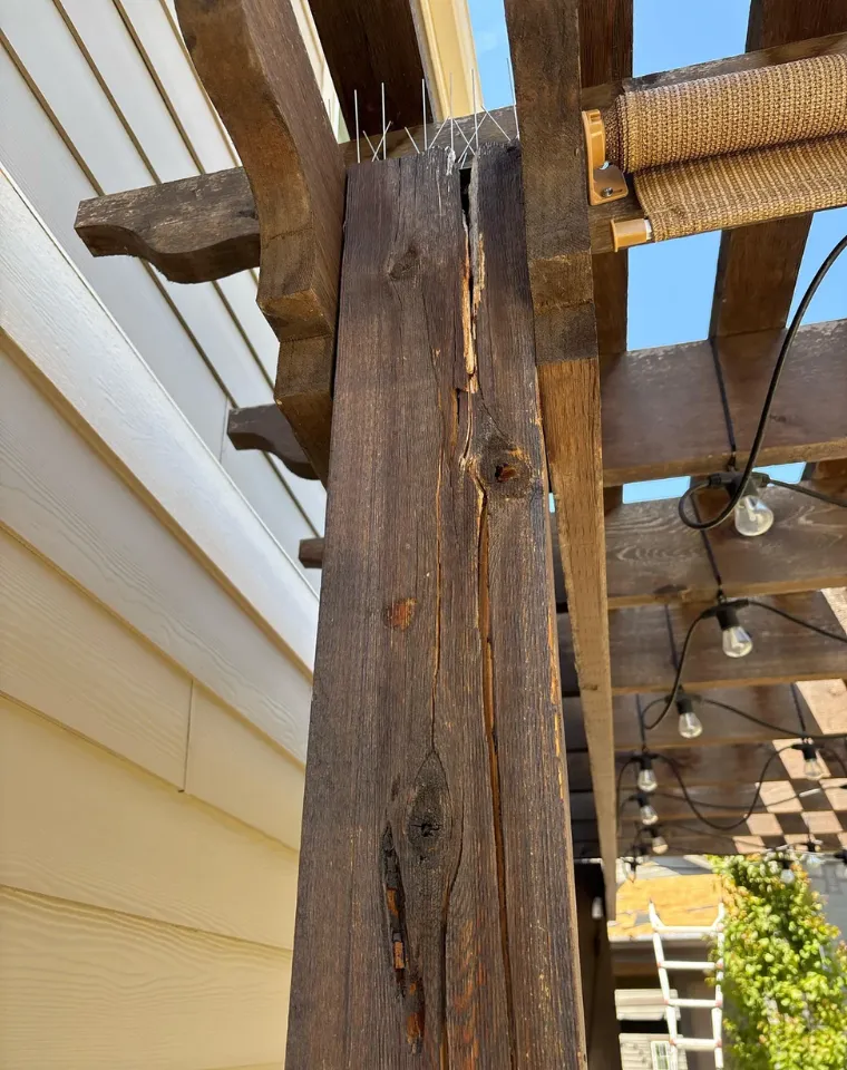 Madera de pergola quebrada