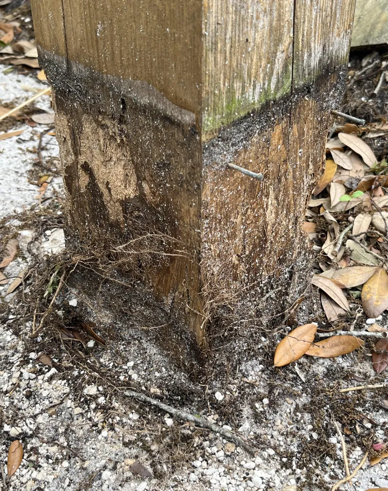 base de pergola podrida