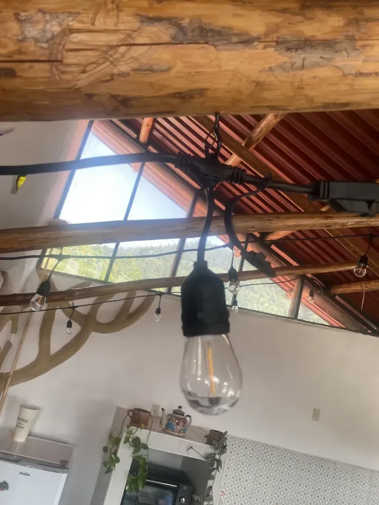 Armella con hebilla sujetando guirnalda led Armella con hebilla sujetando guirnalda led